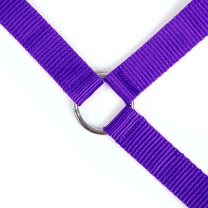 Jeffers Adjustable Nylon Horse Halter