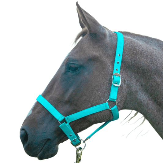 Jeffers Adjustable Nylon Horse Halter