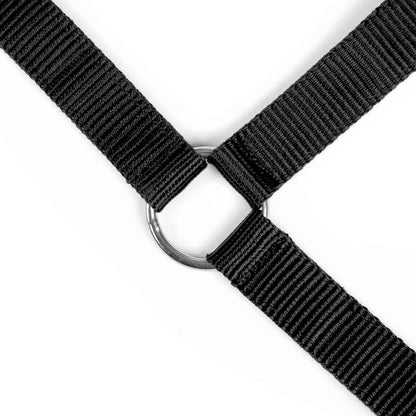 Jeffers Adjustable Nylon Horse Halter