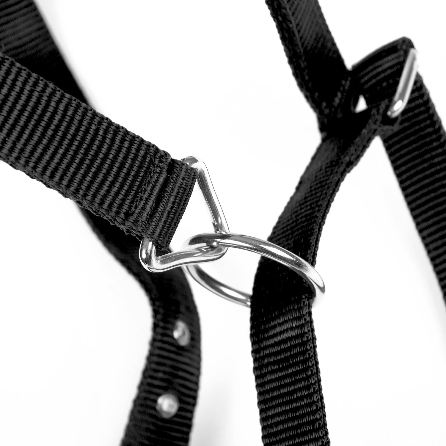 Jeffers Adjustable Nylon Horse Halter