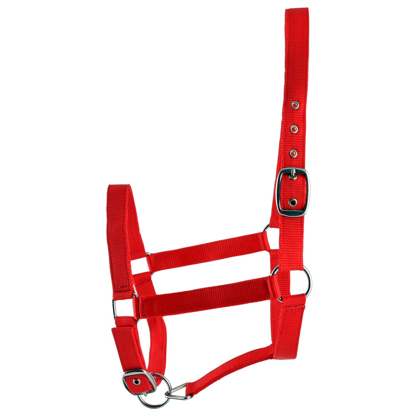 Jeffers Adjustable Nylon Horse Halter