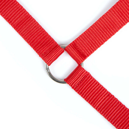 Jeffers Adjustable Nylon Horse Halter