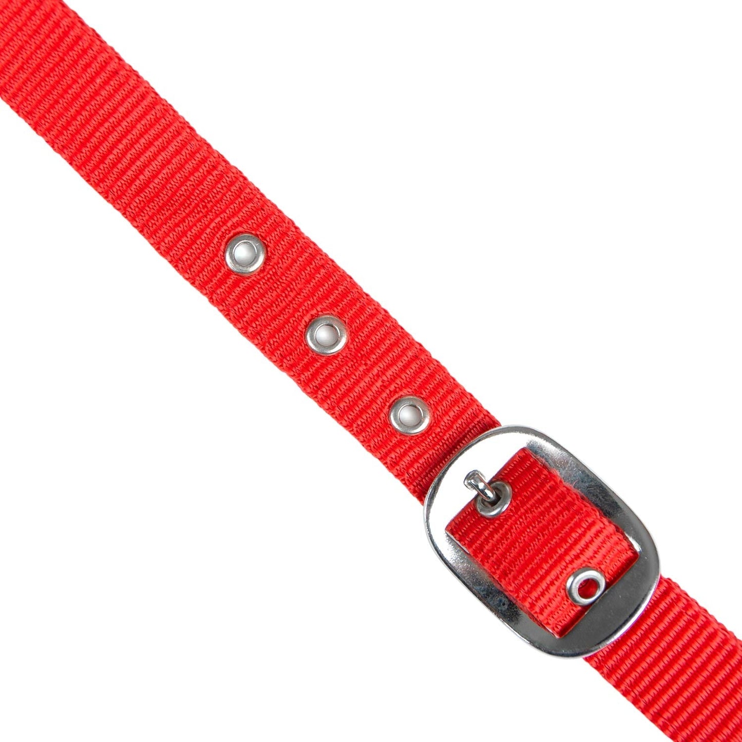 Jeffers Adjustable Nylon Horse Halter