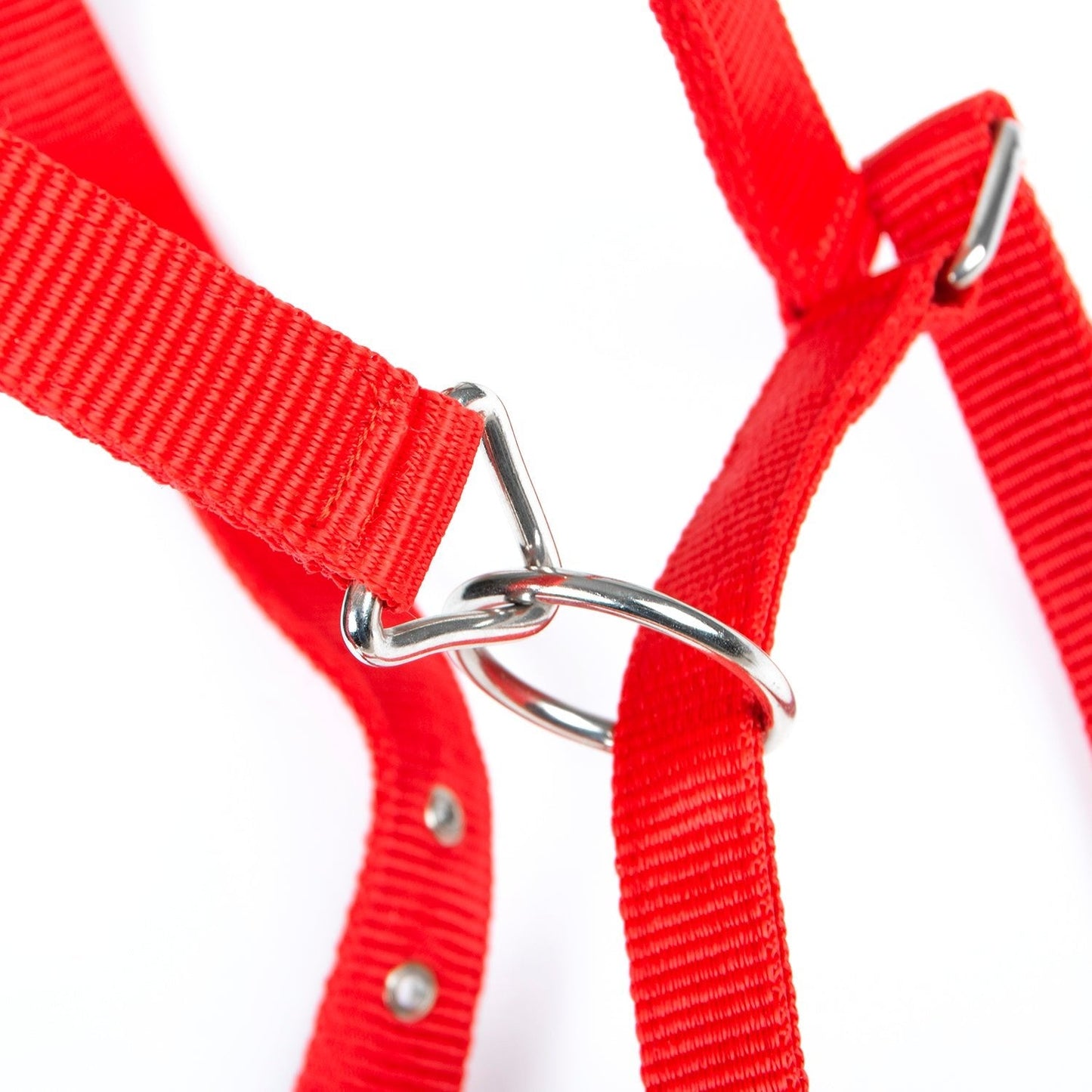 Jeffers Adjustable Nylon Horse Halter