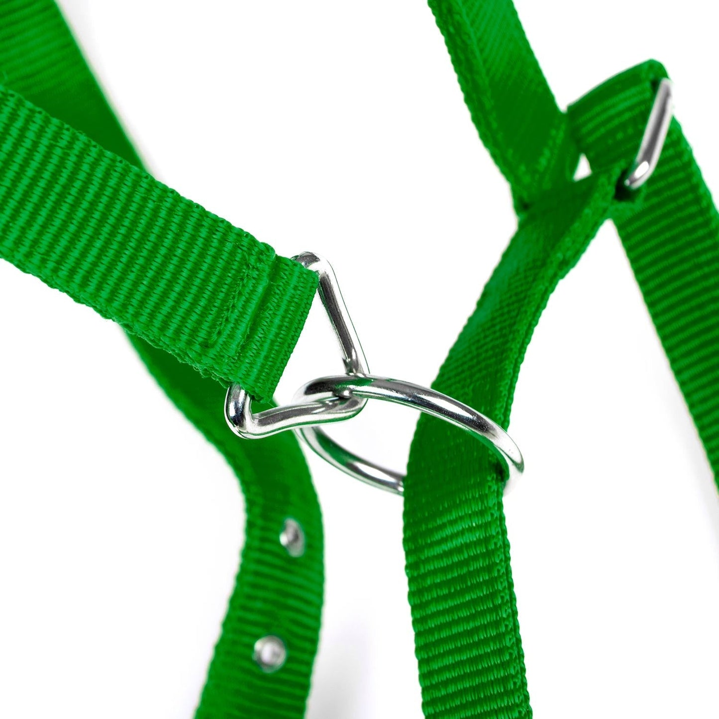 Jeffers Adjustable Nylon Horse Halter