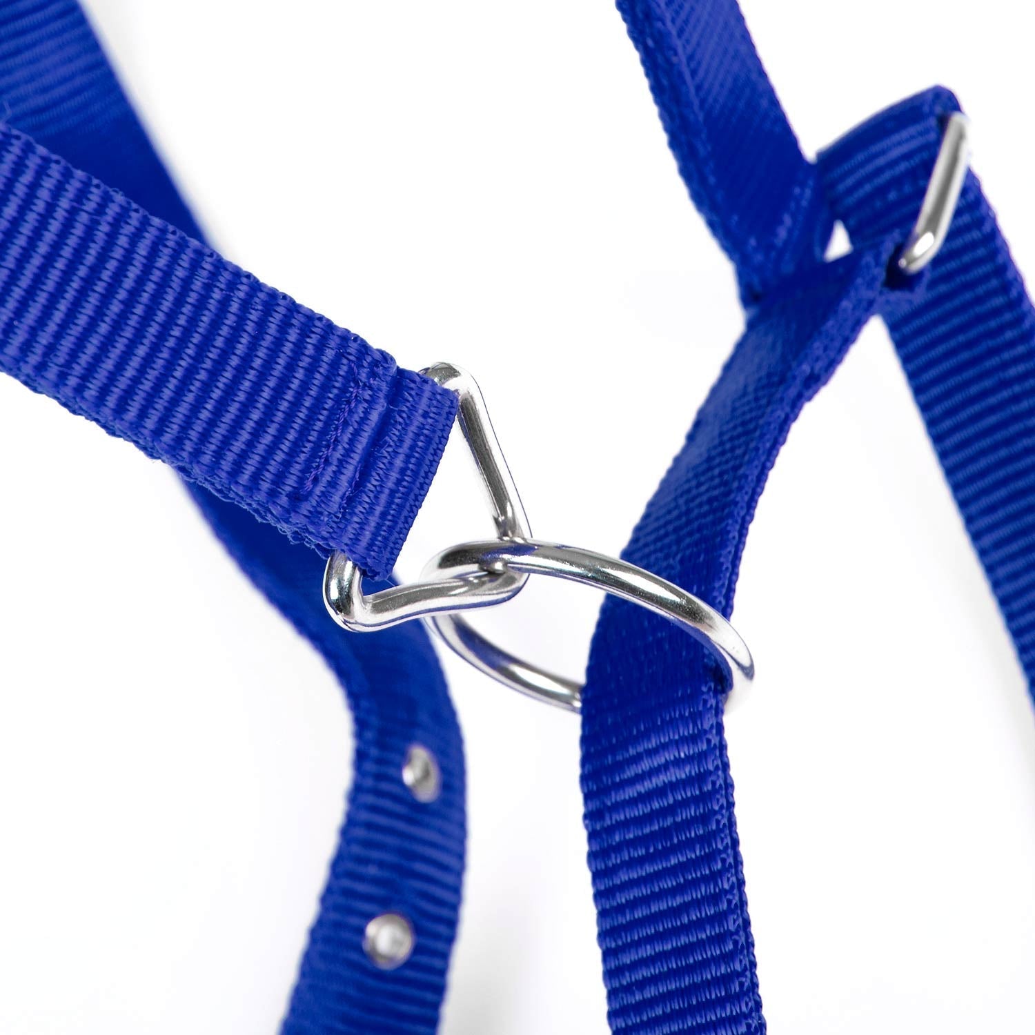 Jeffers Adjustable Nylon Horse Halter