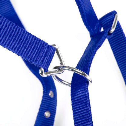 Jeffers Adjustable Nylon Horse Halter