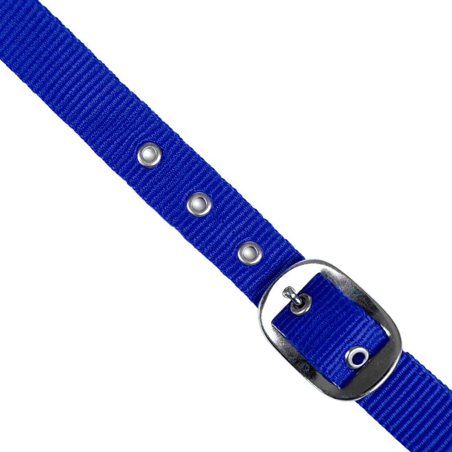 Jeffers Adjustable Nylon Horse Halter