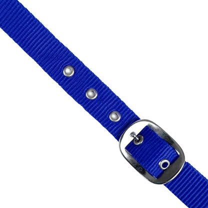 Jeffers Adjustable Nylon Horse Halter