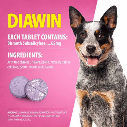 Digestive Support for Dogs