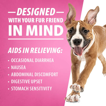 Digestive Support for Dogs