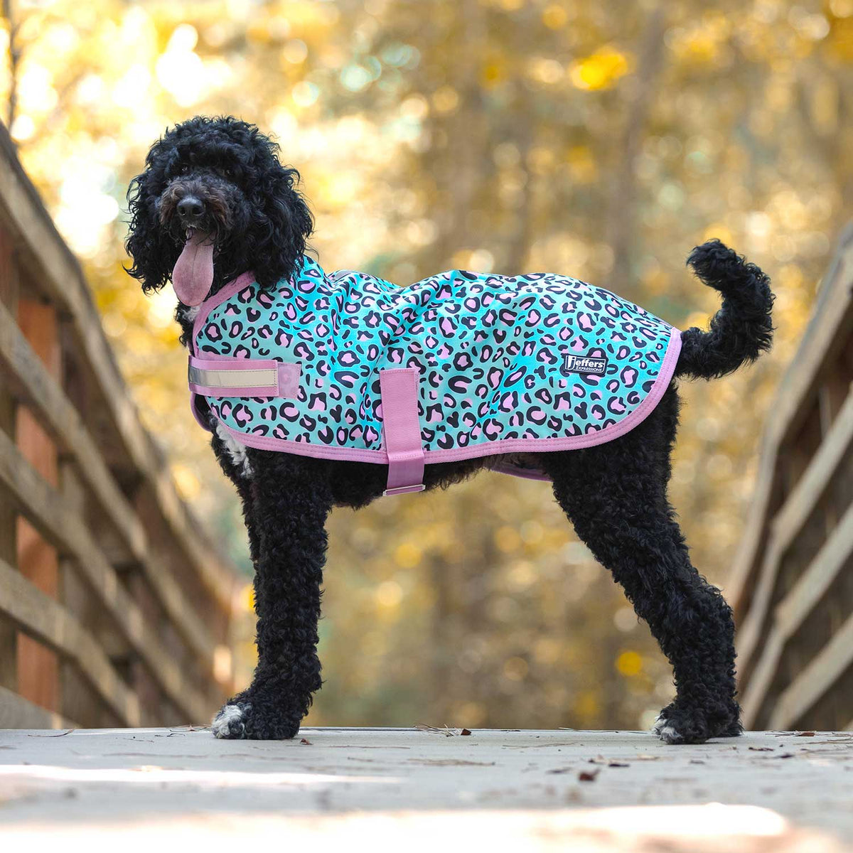 Jeffers Expression 600D Waterproof Ripstop Dog Coat, 240 Grams