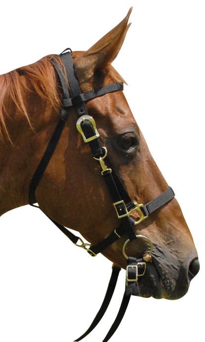Nylon Combination Horse Halter Bridle with Reins