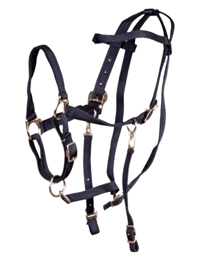 Nylon Combination Horse Halter Bridle with Reins