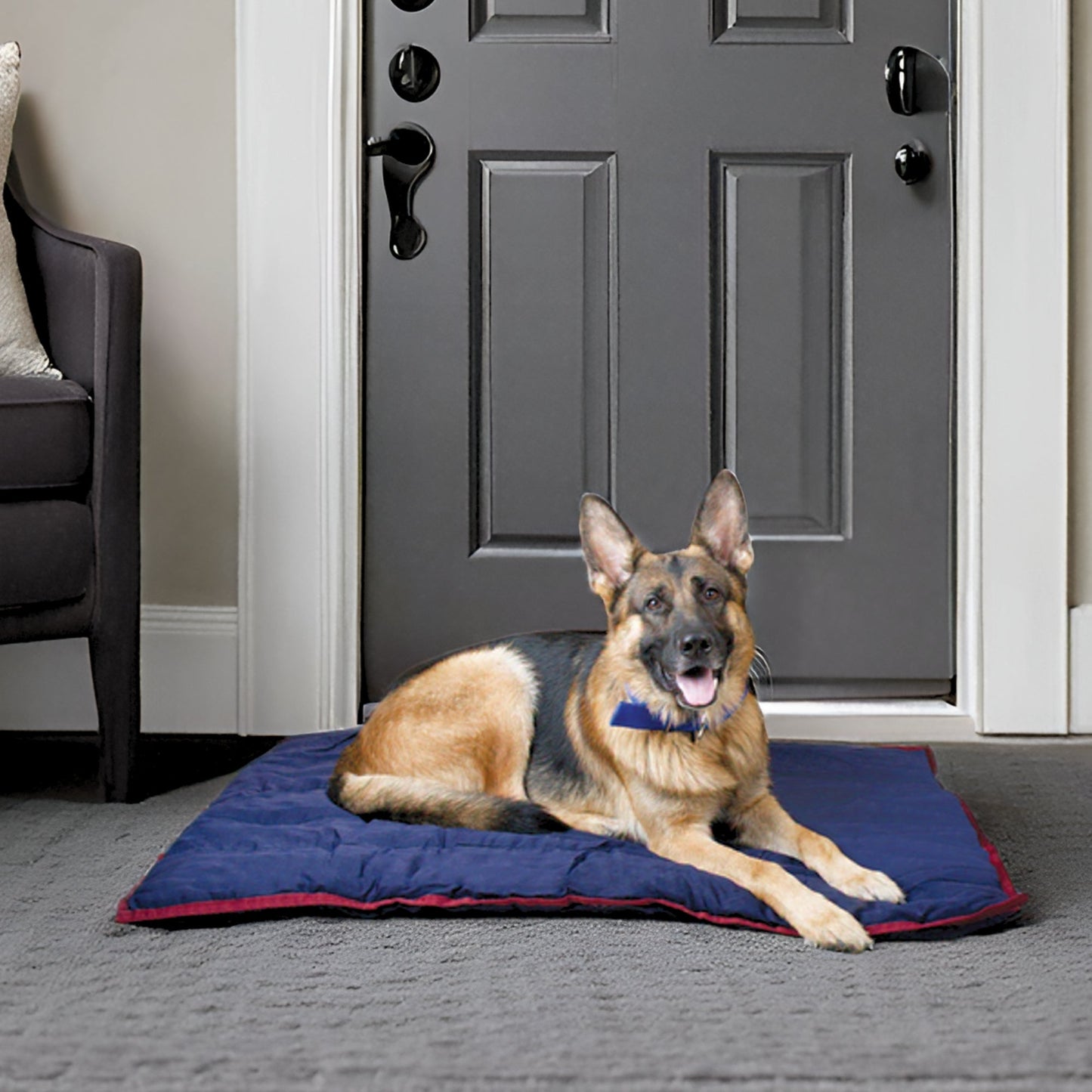 Washable Dog Pillow for Crates Carriers or Lounging