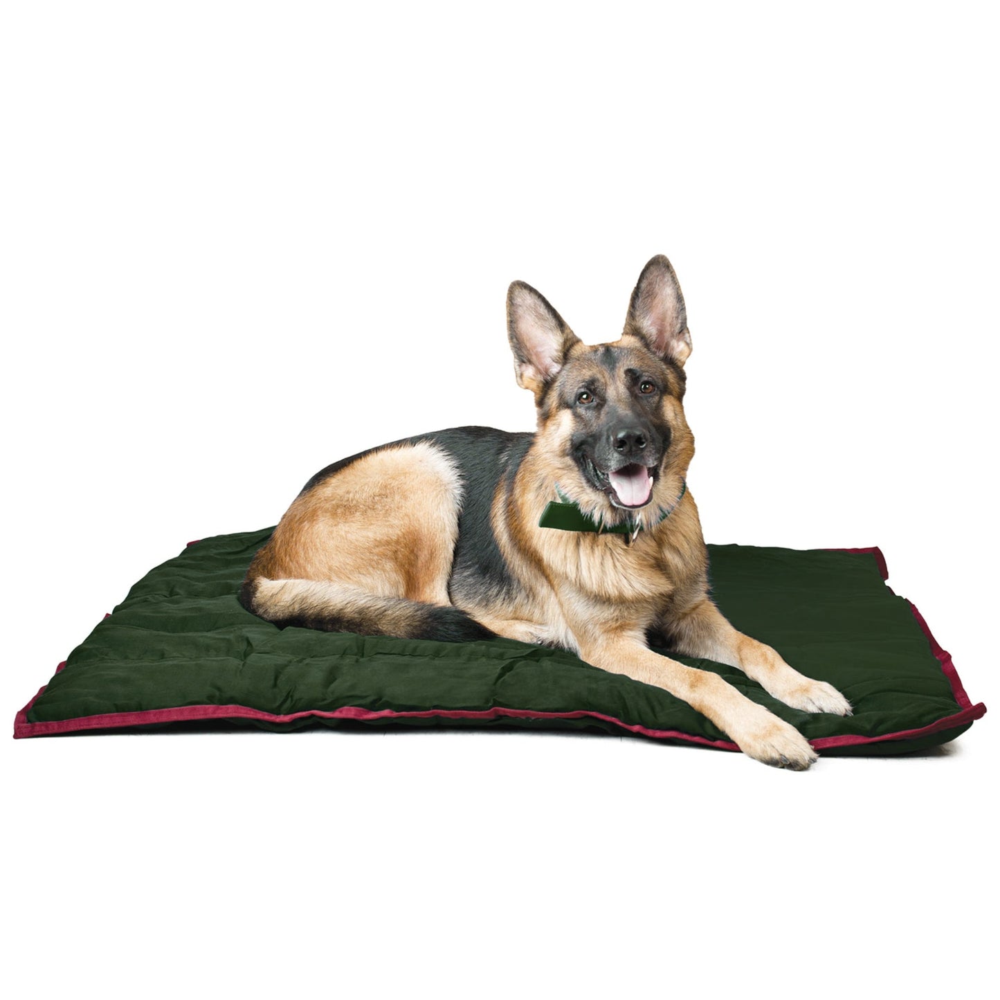 Washable Dog Pillow for Crates Carriers or Lounging