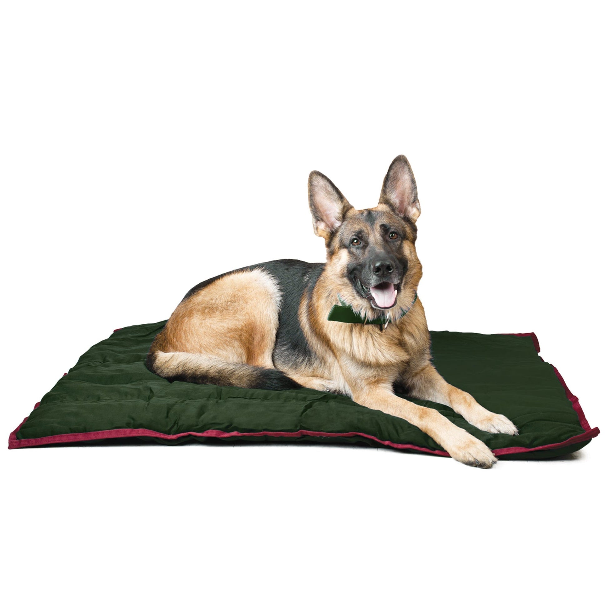 Washable Dog Pillow for Crates Carriers or Lounging
