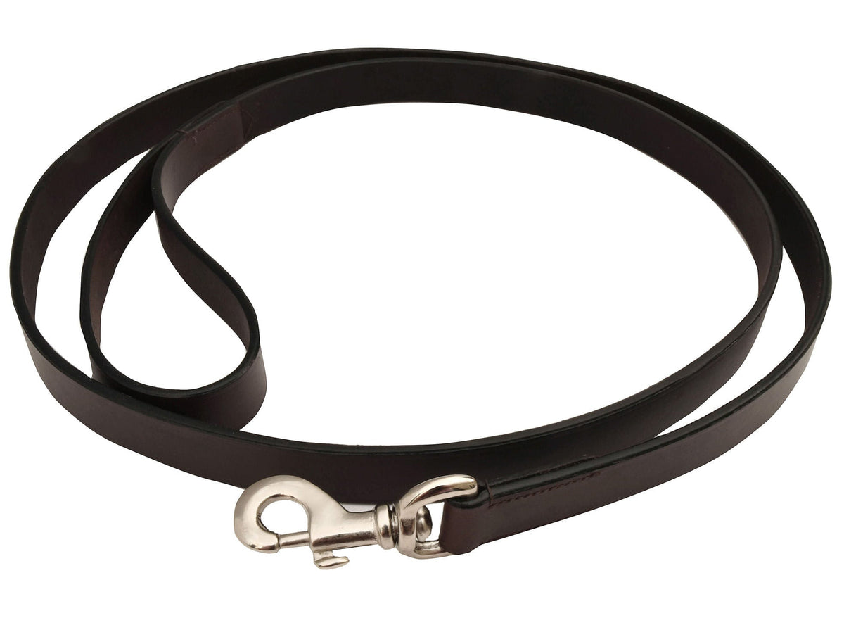 Jeffers Premium Brown Flat Leather Leash, 6 feet long
