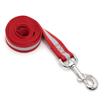 Jeffers Reflective Glow-in-the-Dark Safety Stripe Nylon Dog Leash, 4 Feet Long
