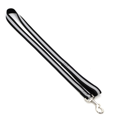 Jeffers Reflective Glow-in-the-Dark Safety Stripe Nylon Dog Leash, 4 Feet Long