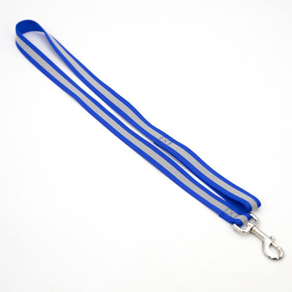 Jeffers Reflective Glow-in-the-Dark Safety Stripe Nylon Dog Leash, 4 Feet Long