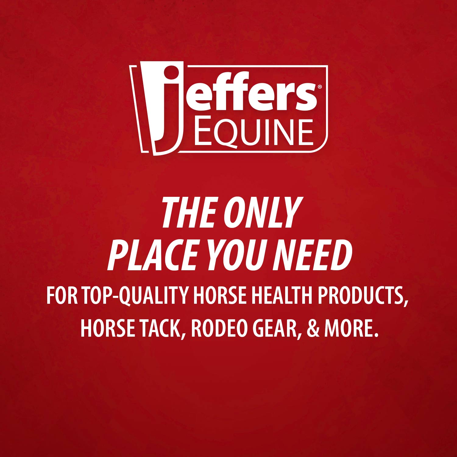 Horse Mane and Tail Detangler Conditioner
