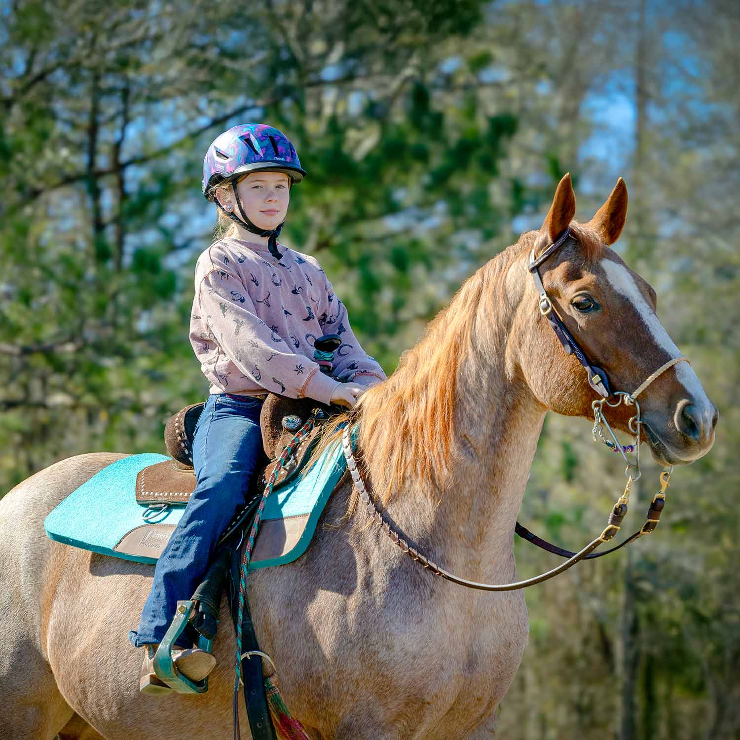100% wool equine saddle pad