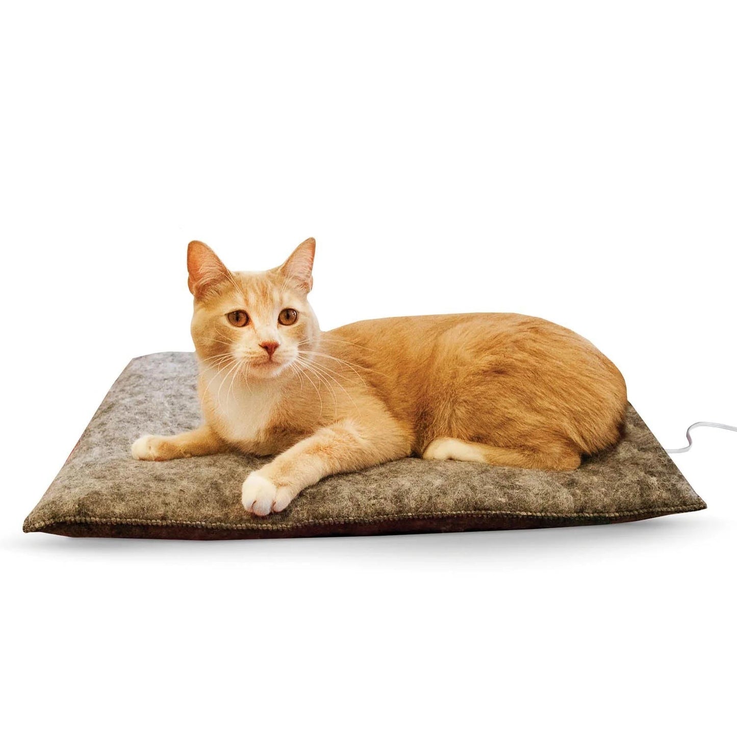 Heated Cat Bed
