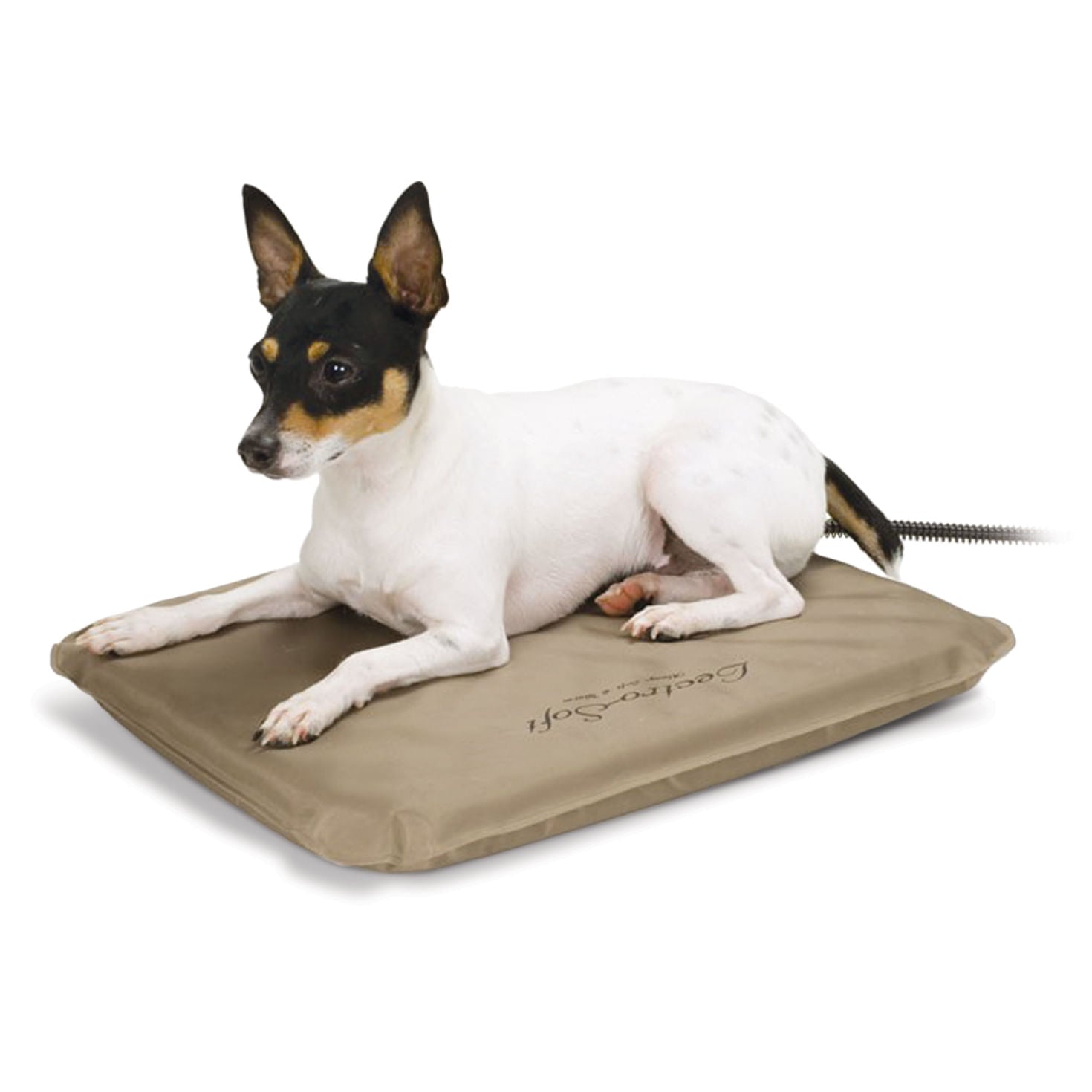 outdoor heated pet bed
