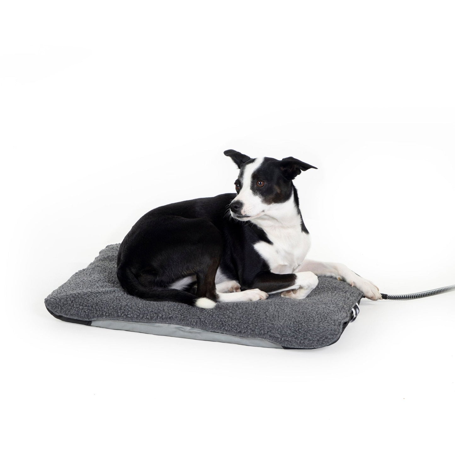 outdoor heated pet bed