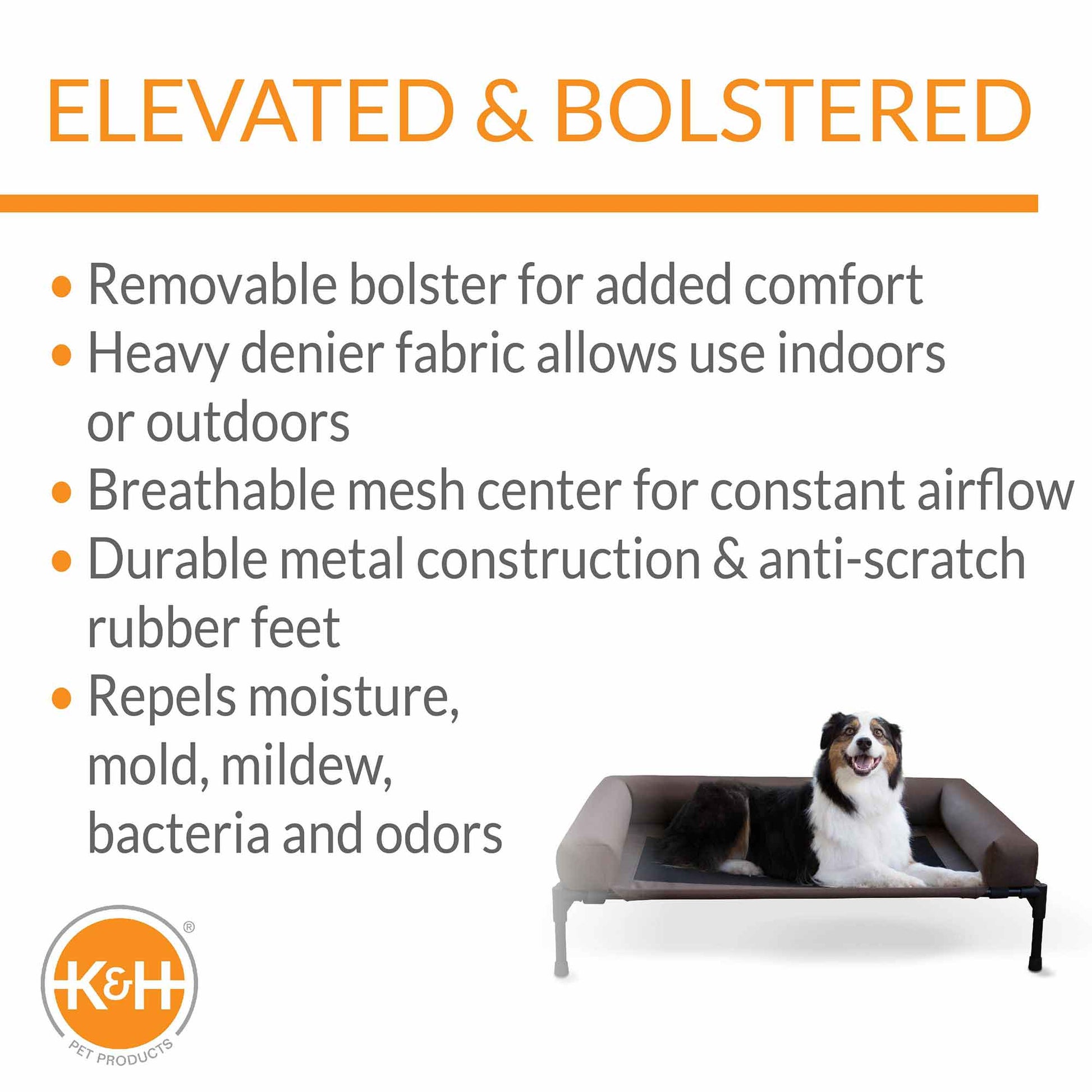 elevated pet bed with bolster