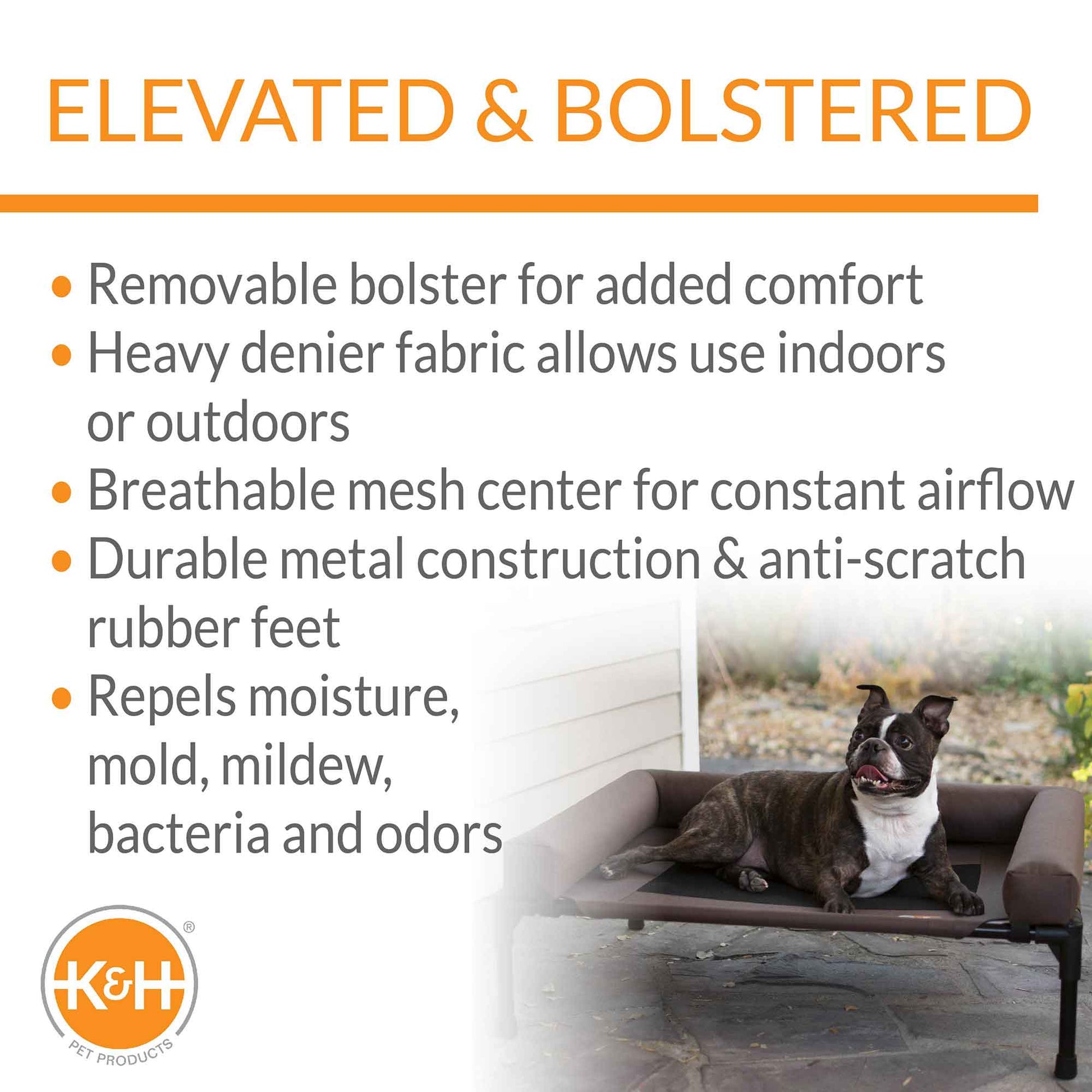 elevated pet bed with bolster