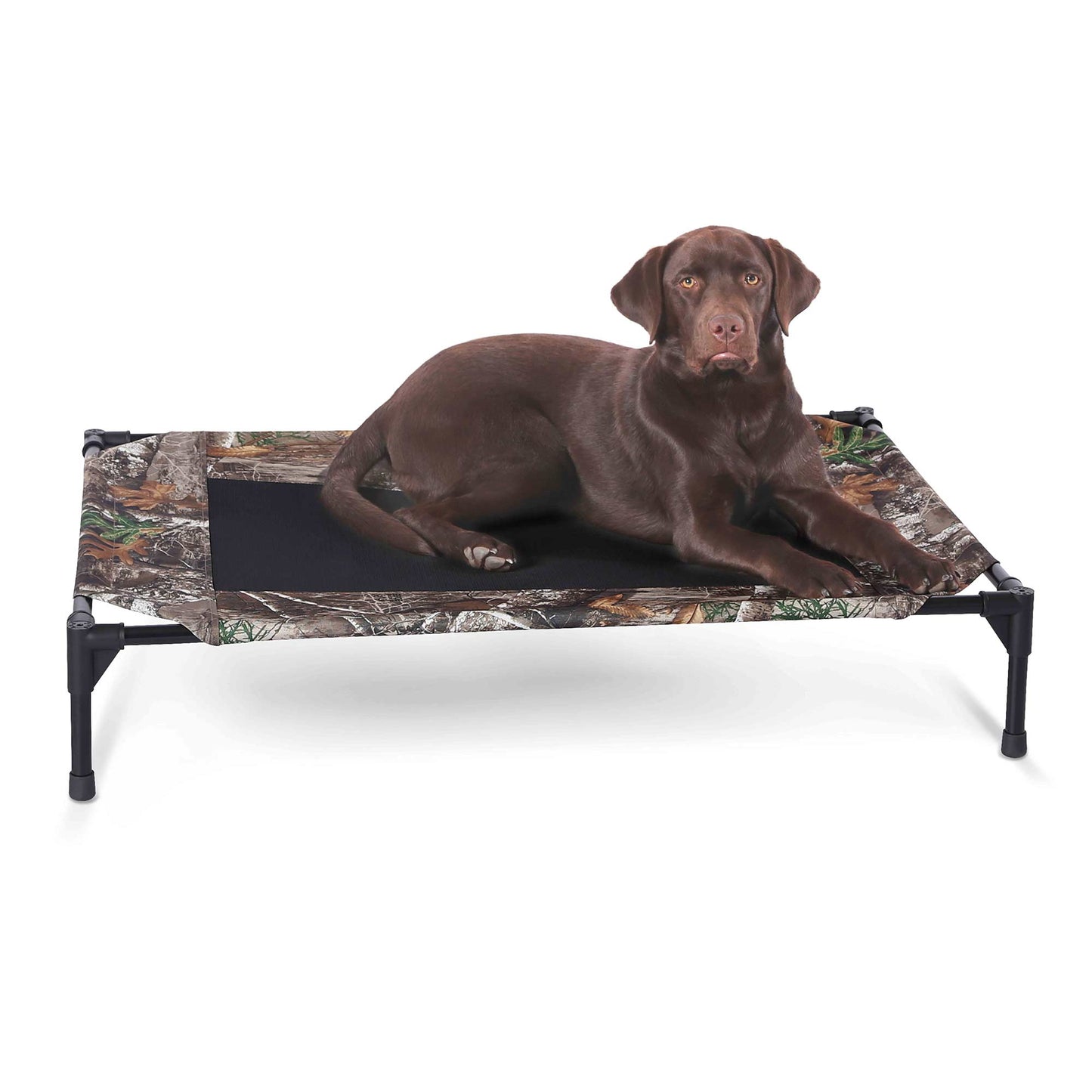 elevated dog bed Realtree Edge