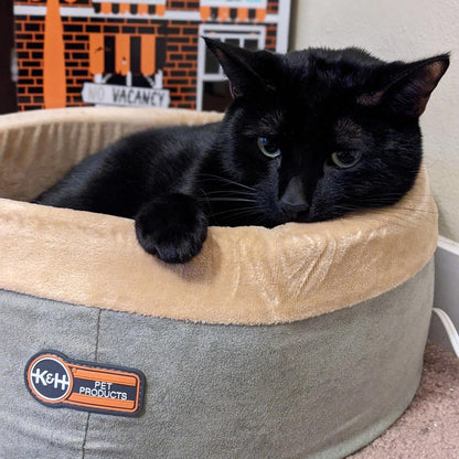 indoor heated cat bed