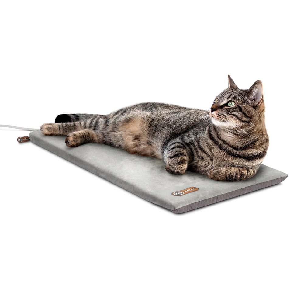 heated cat bed