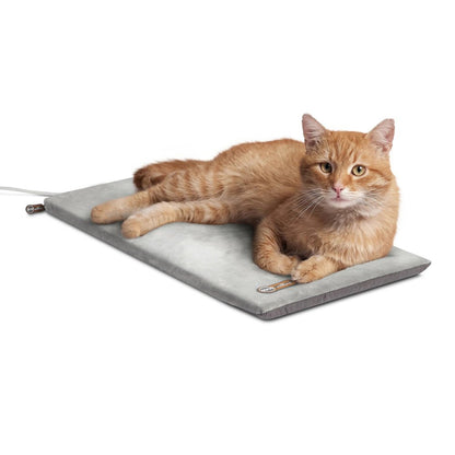 heated cat bed