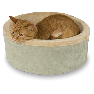 indoor heated cat bed