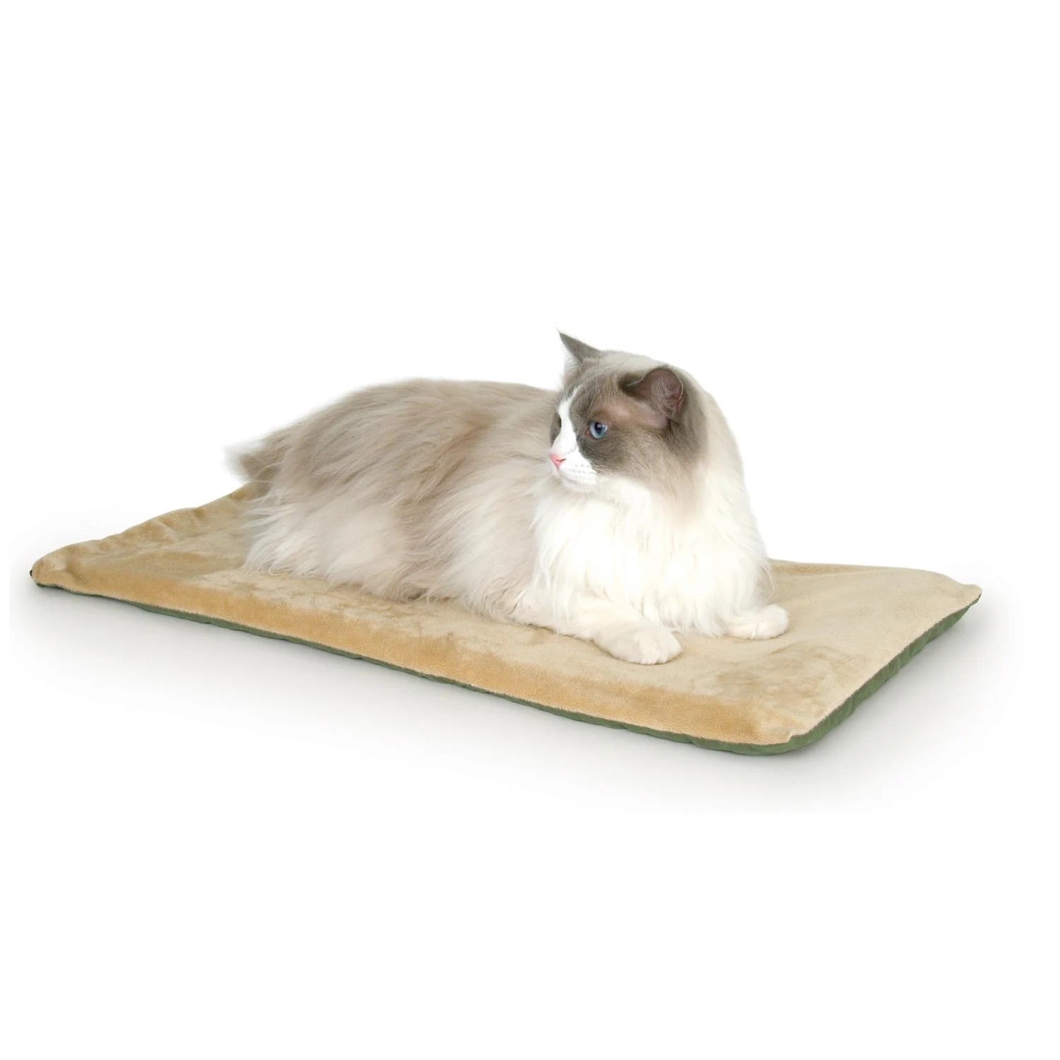 Heated Cat Bed