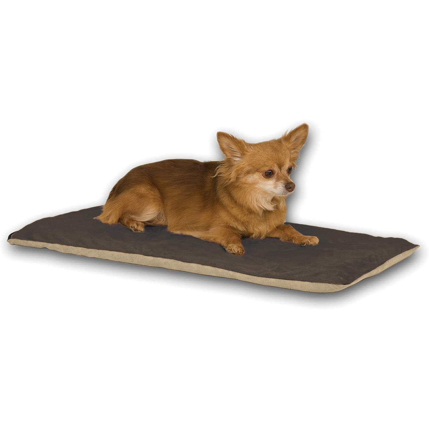 heated mat for small dogs and cats