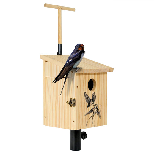 tree swallow birdhouse