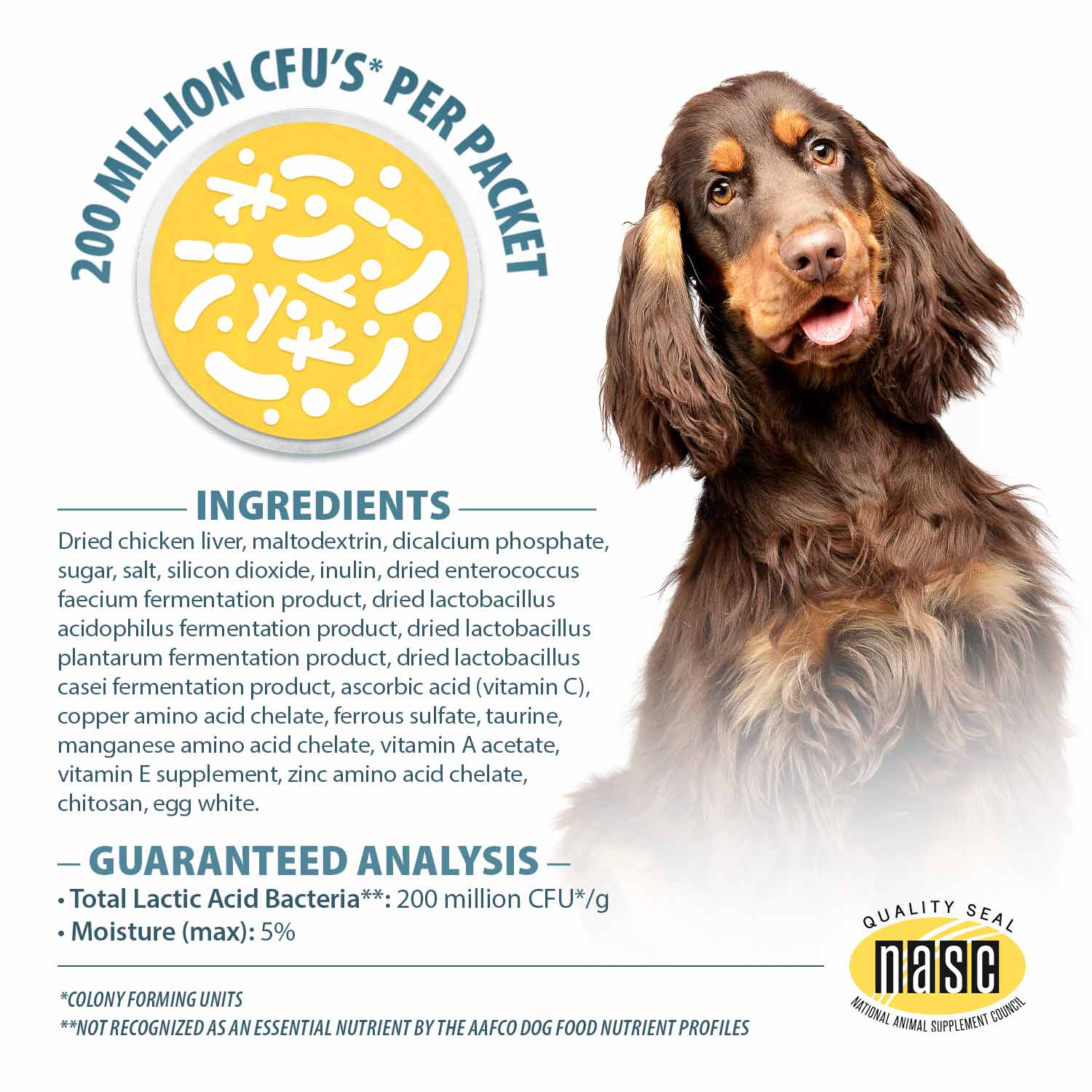 Pet's Choice Gut Instincts Probiotic Powder Packets for Dogs