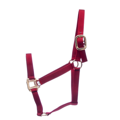 Premium Nylon Weanling & Yearling Horse Halter