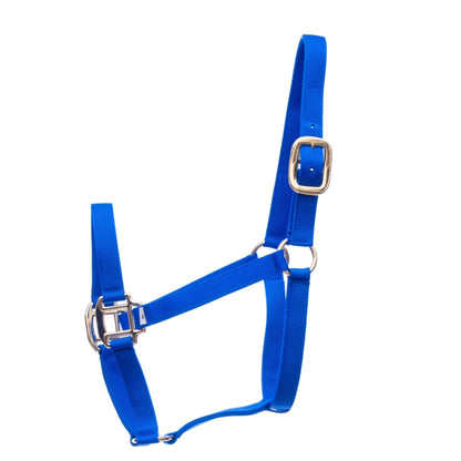 Premium Nylon Weanling & Yearling Horse Halter