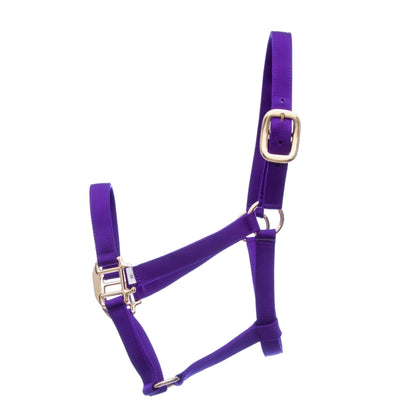 Premium Nylon Weanling & Yearling Horse Halter
