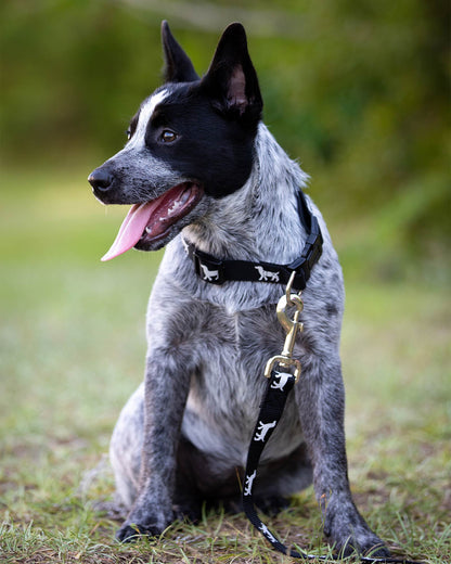 Jeffers Reflective Hound Series Nylon Dog Leash, 4 ft Long
