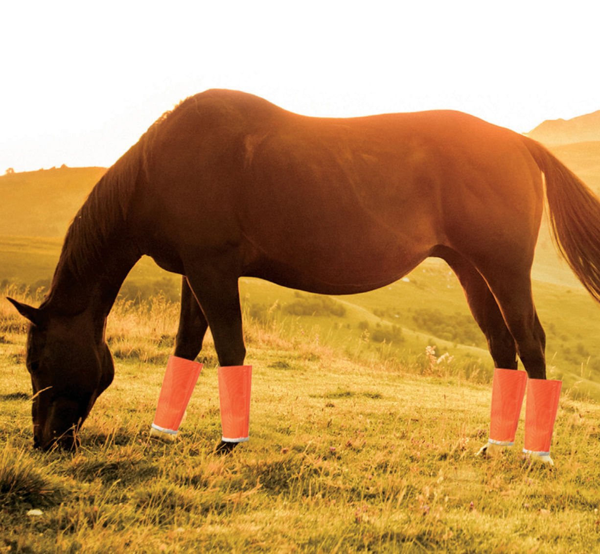 Shoofly Leggins Fine Mesh Fly Boots for Horses