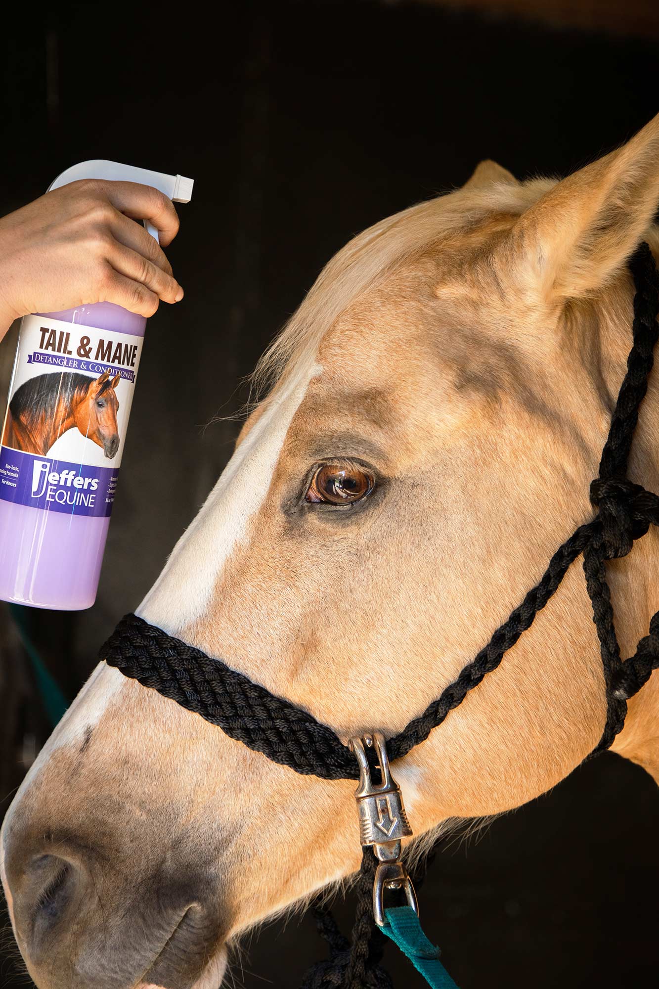 Horse Mane and Tail Detangler Conditioner
