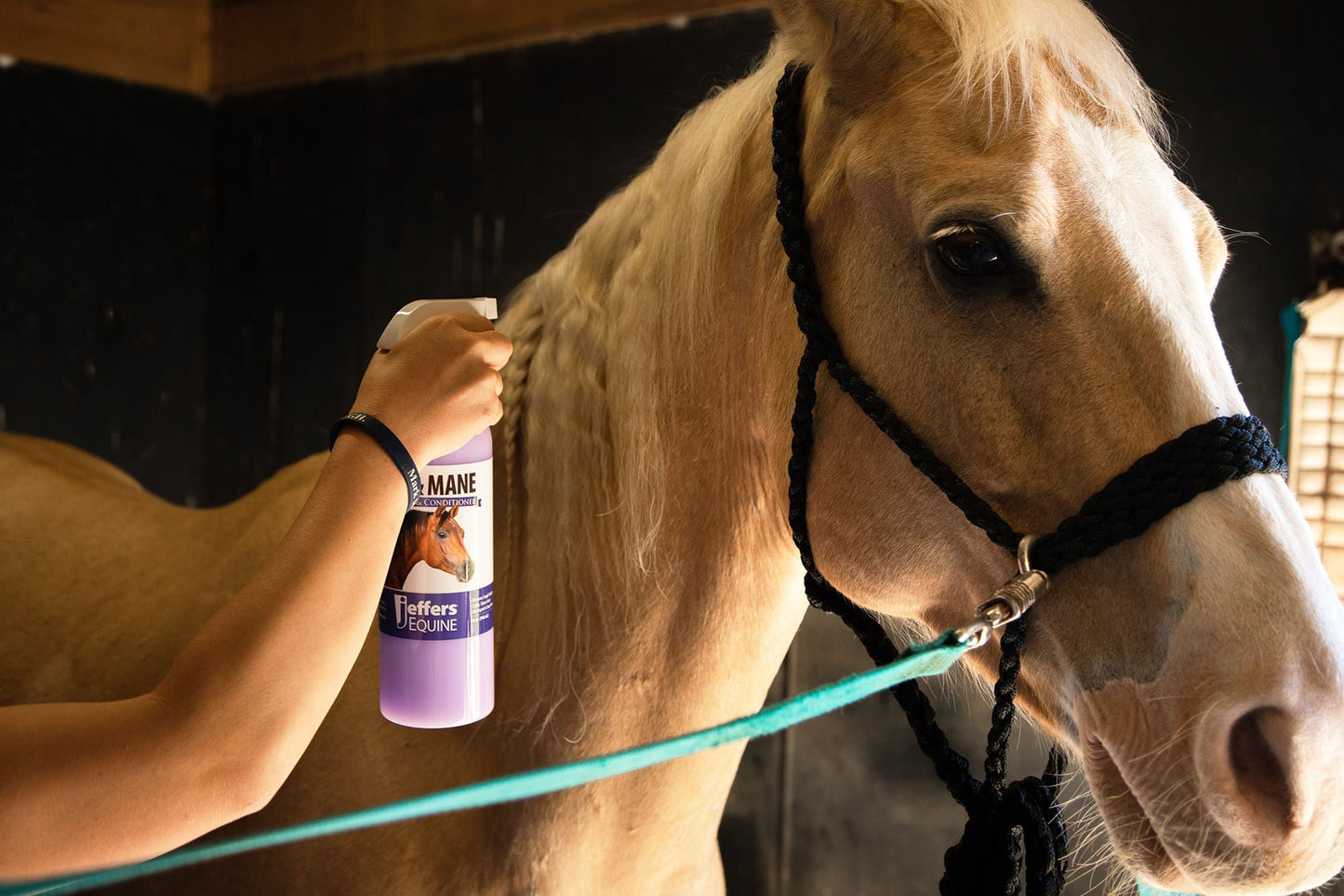 Horse Mane and Tail Detangler Conditioner