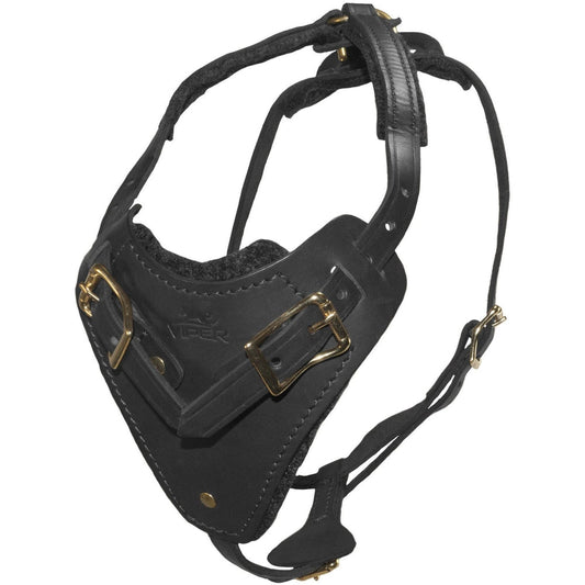 Viper Invader Working Dog Harness